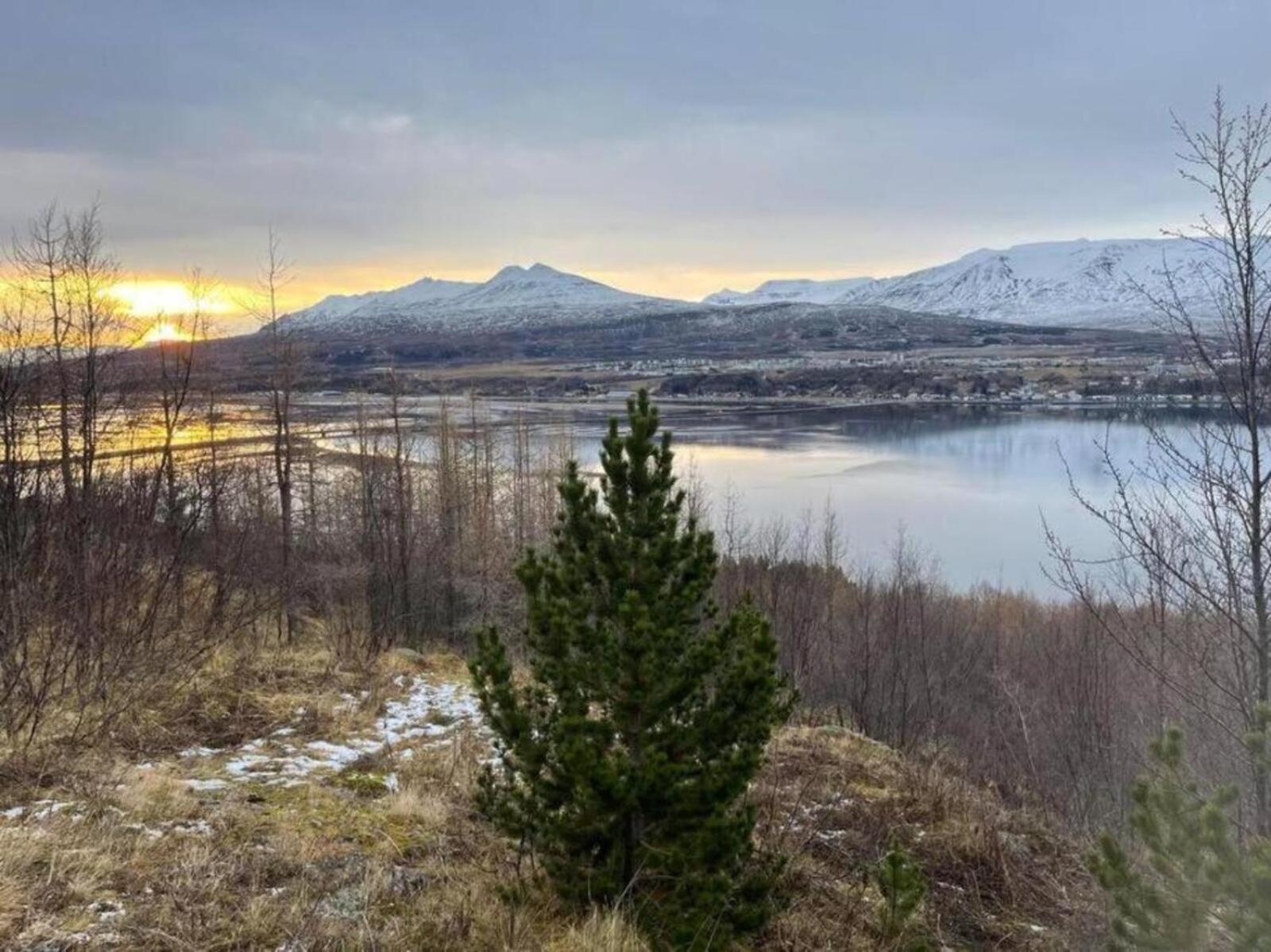 Cozy 2 Bedroom Cottage With Hot Tub Akureyri Dış mekan fotoğraf